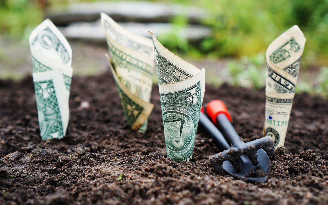 A Step-by-Step Guide to Investing Half Your Income